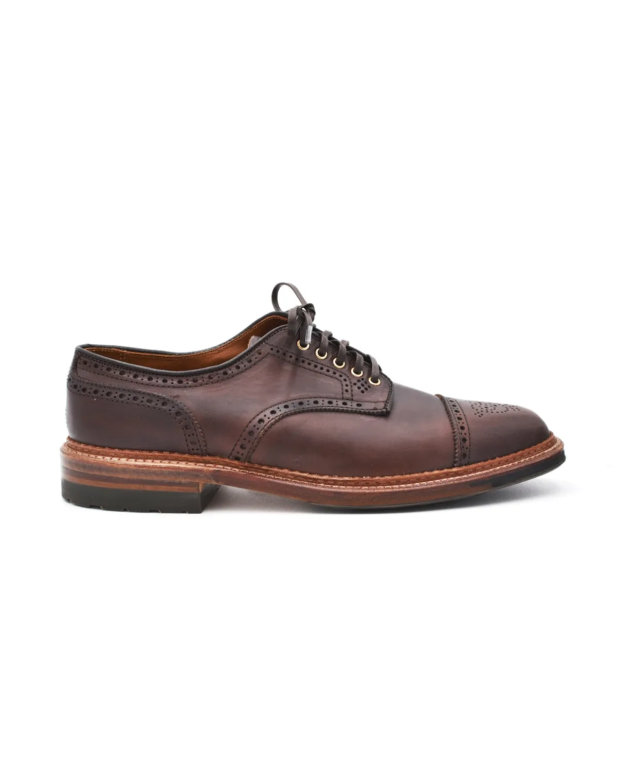 Daily Wear Alden Dark Brown Medallion Toe Blutcher