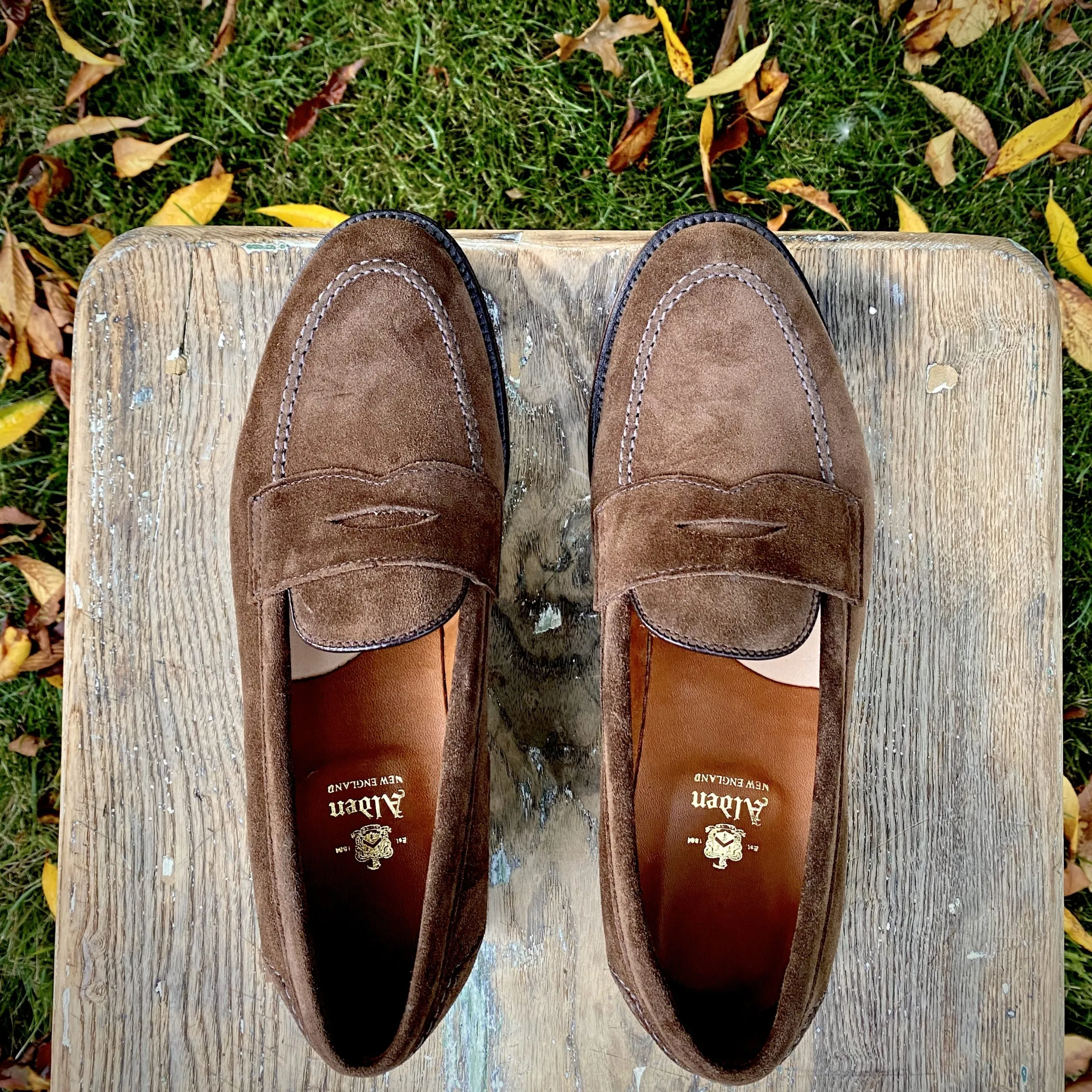 Day-to-Day Comfort 9697F - Flex Penny Loafer in Brown Suede