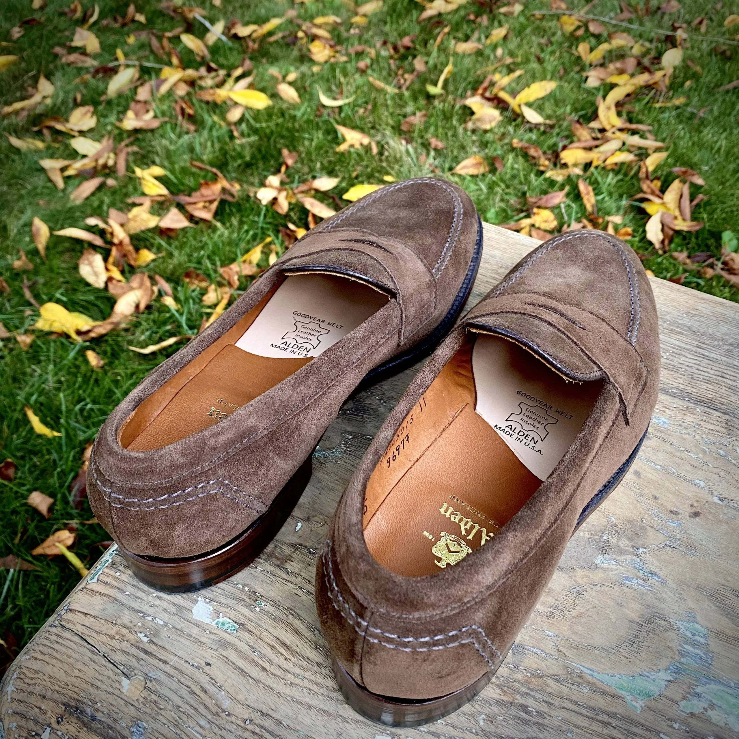 Day-to-Day Comfort 9697F - Flex Penny Loafer in Brown Suede