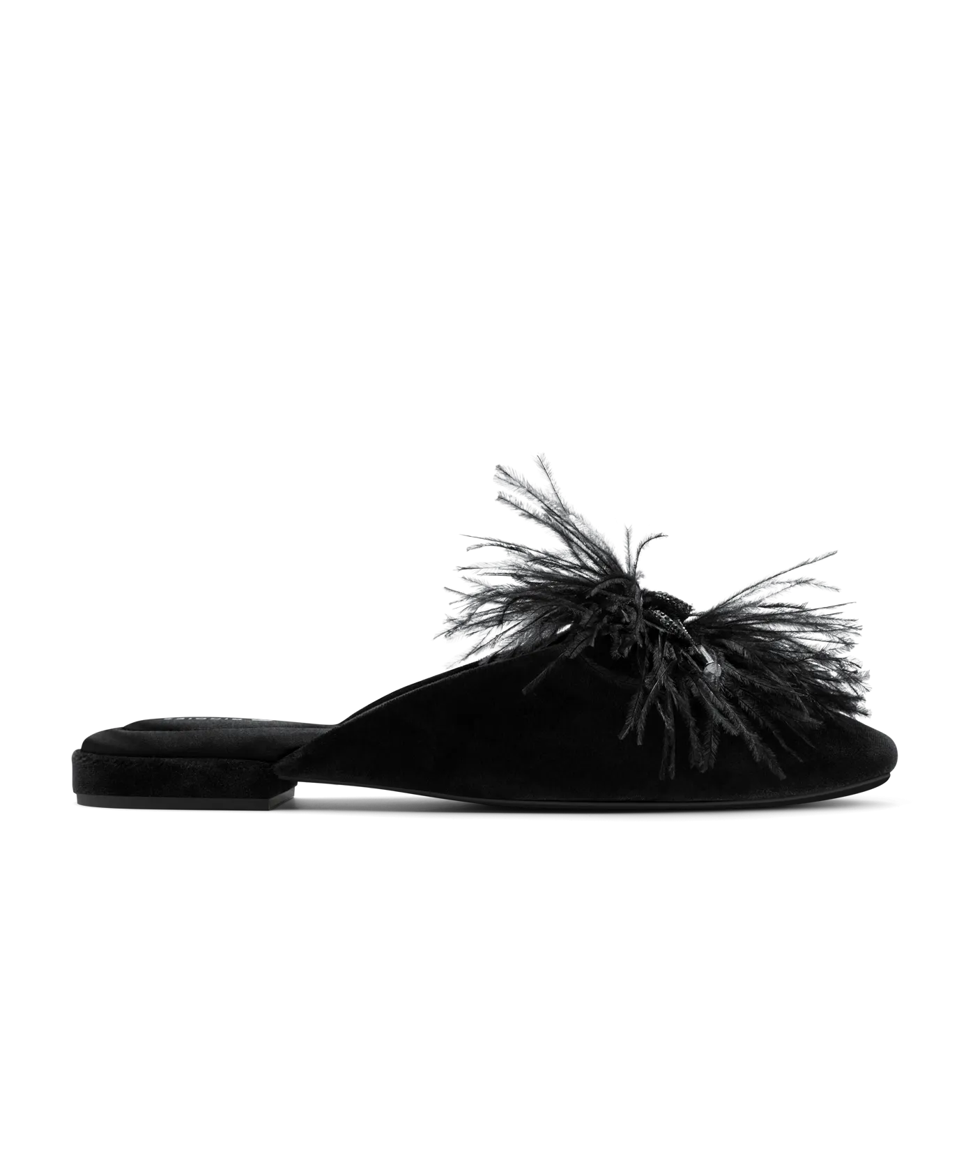 Easy Wear The Lovebird - Black Velvet