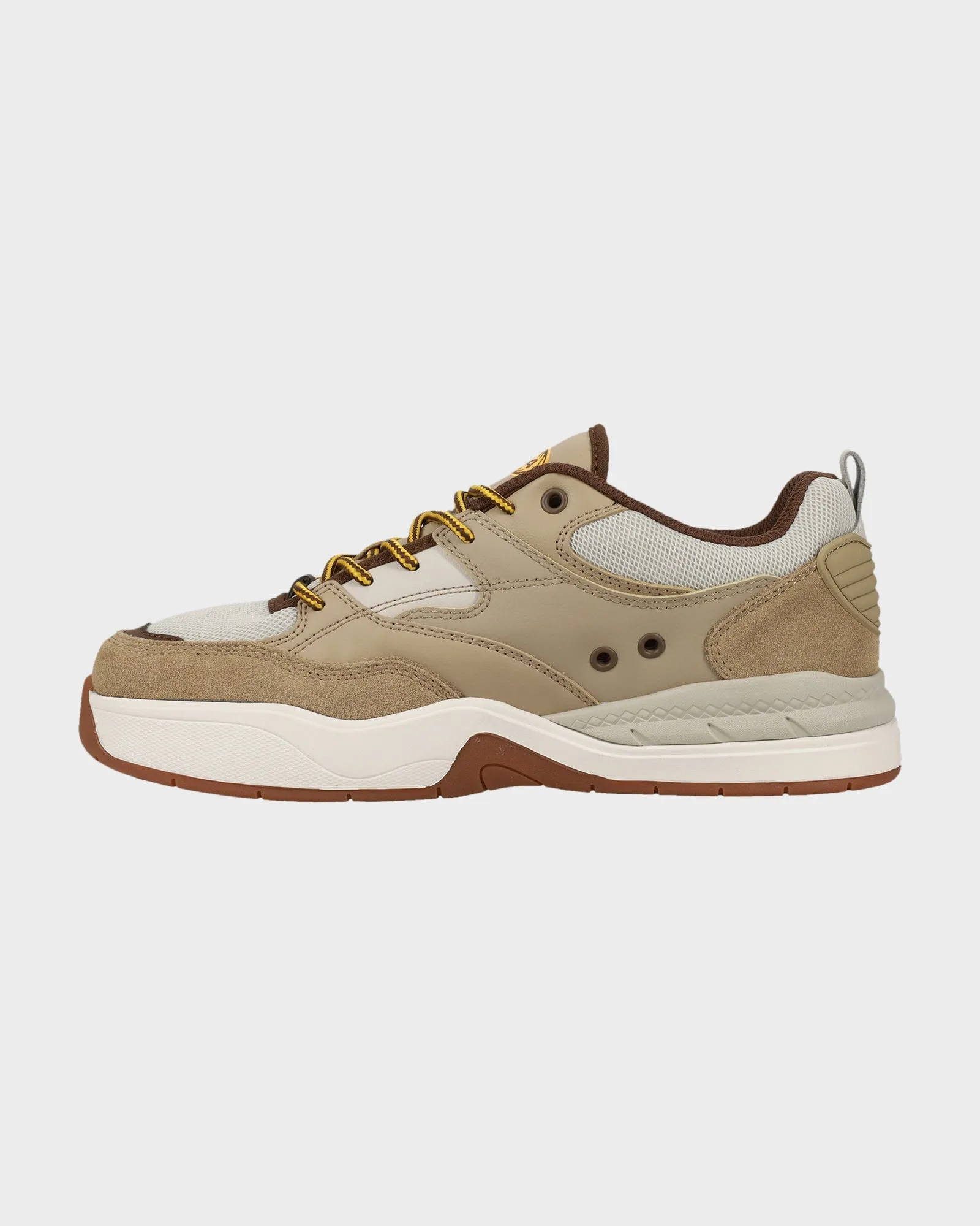 Fitted Traction Mens DC Ascend LE Skate Shoes