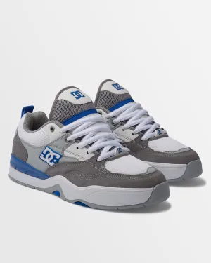 Lifestyle Choice Mens DC Ascend Shoes