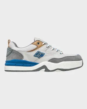 Mens DC Ascend Skate Shoes Designer Look