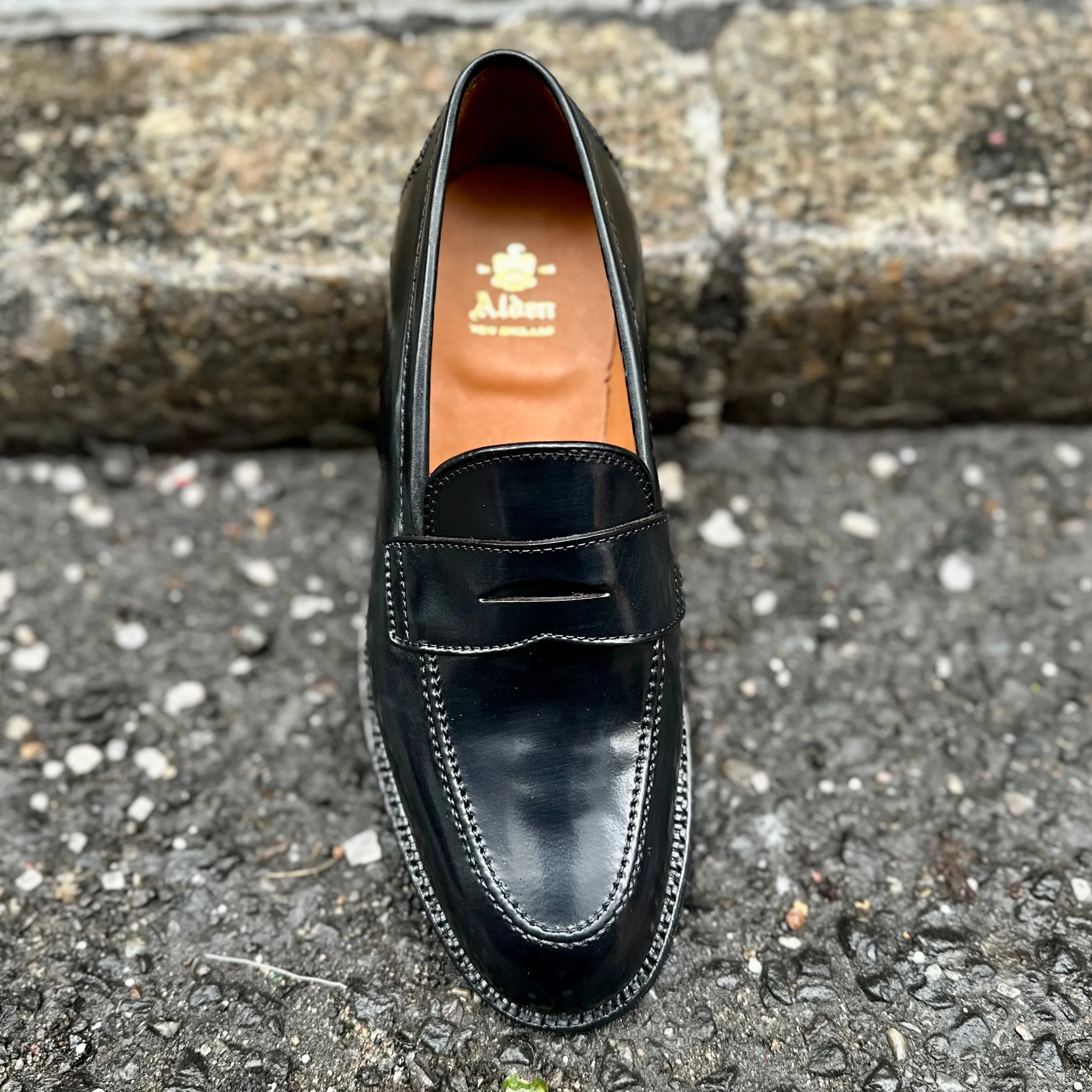 Modern Ease D2221 - Madison Penny in Black Shell Cordovan