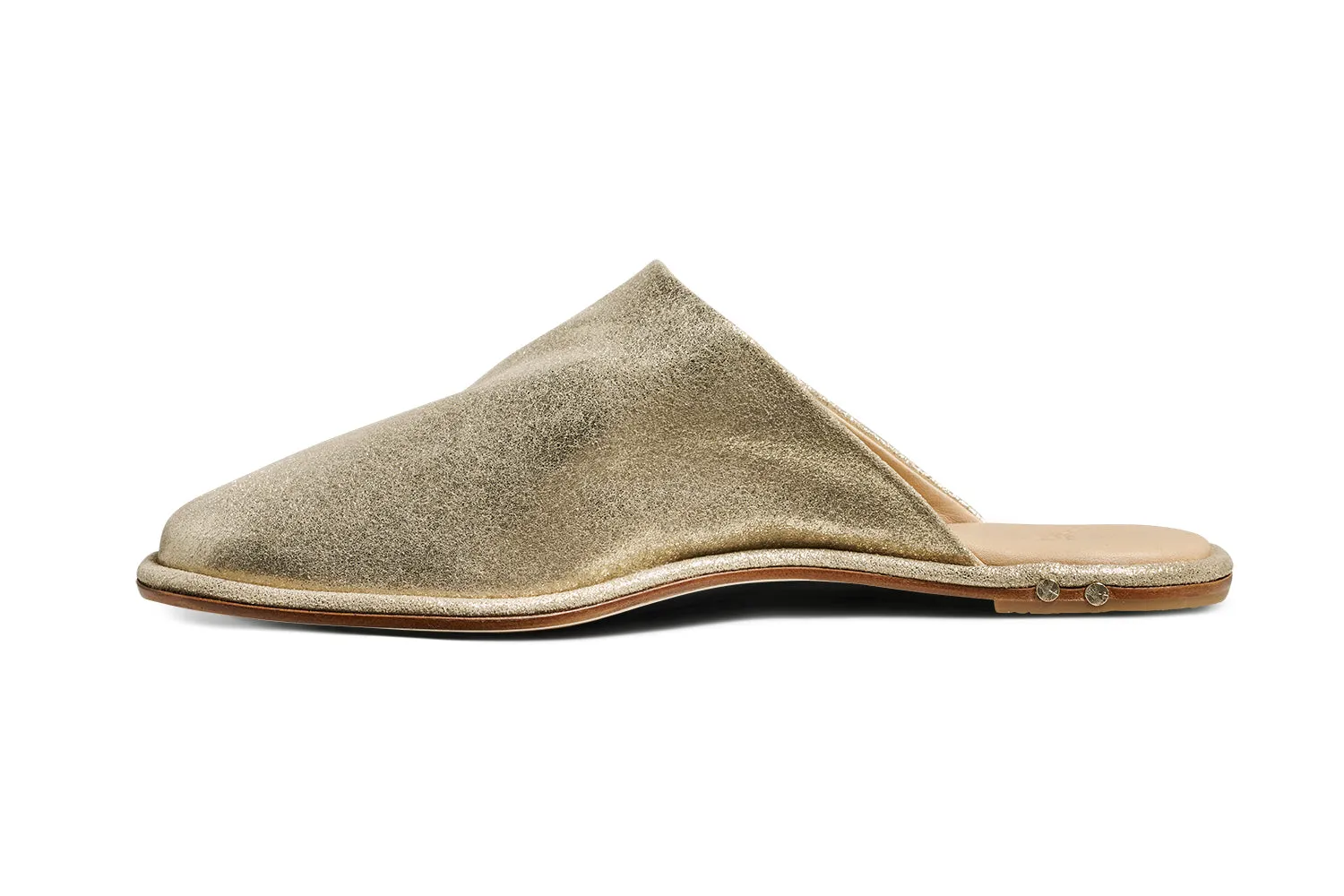 Padded collar SEAGULL - Gold
