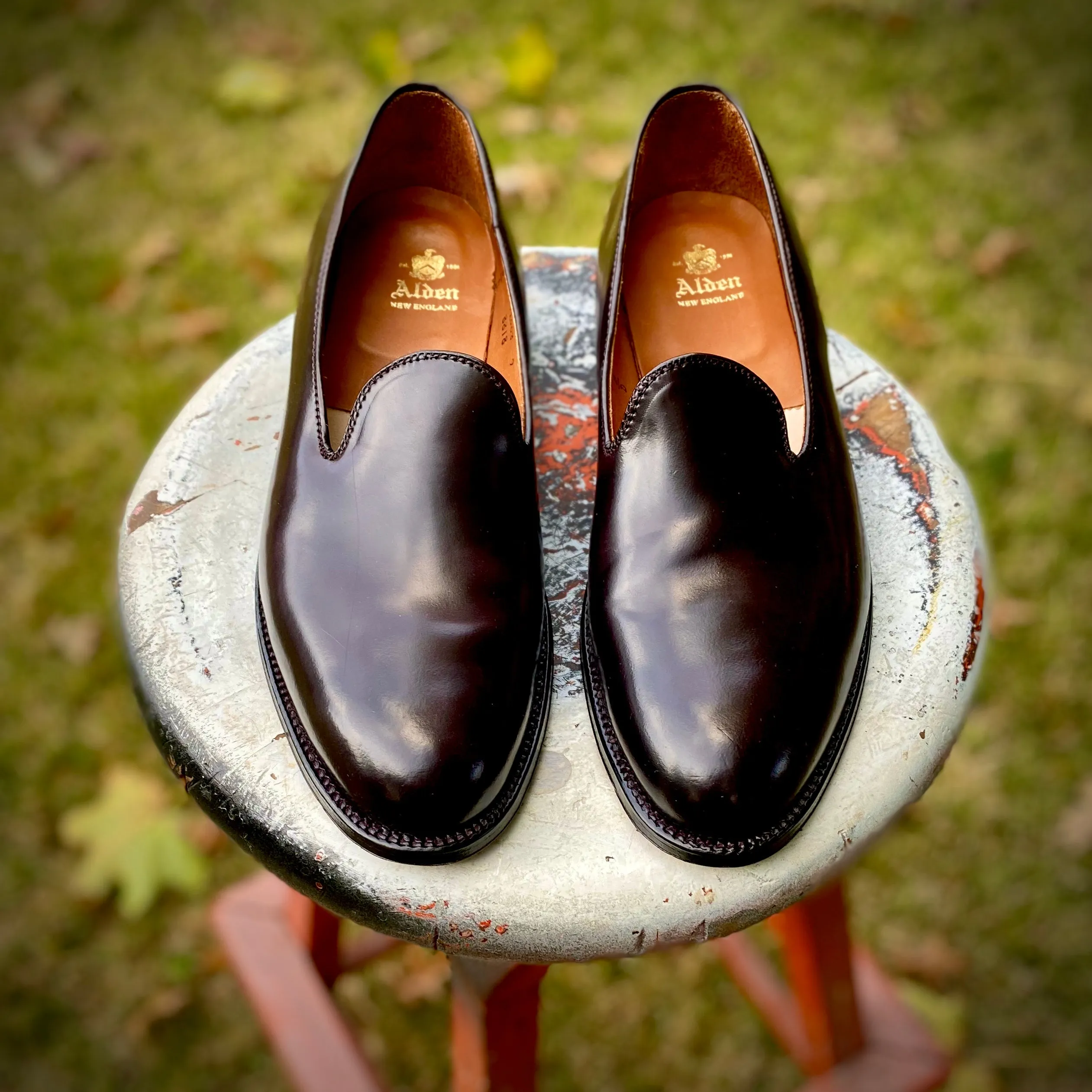 8818 - Plain Toe Slip On in Color 8 Shell Trendy Footwear