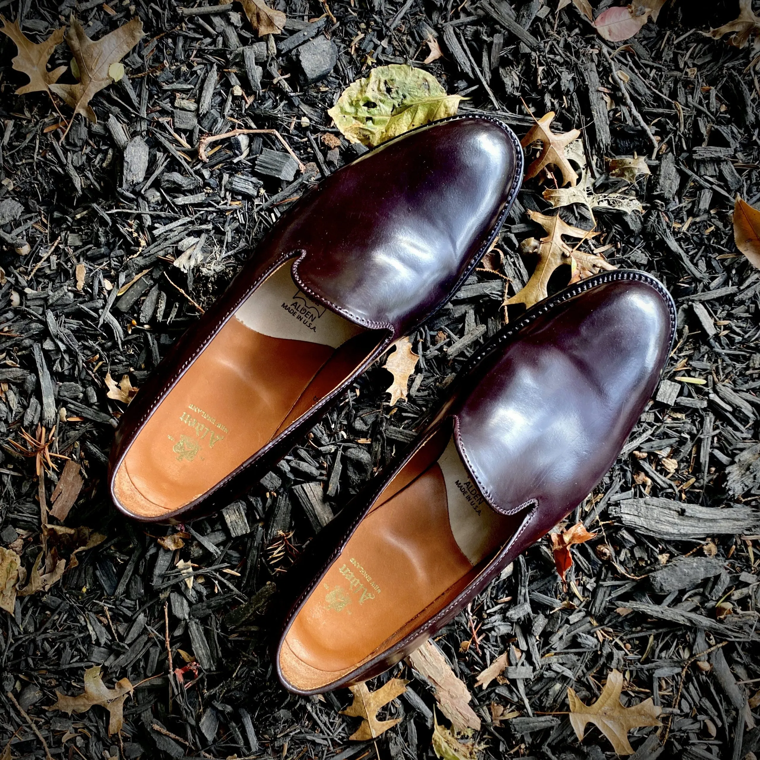 Soft Edge Comfort 8818 - Plain Toe Slip On in Color 8 Shell