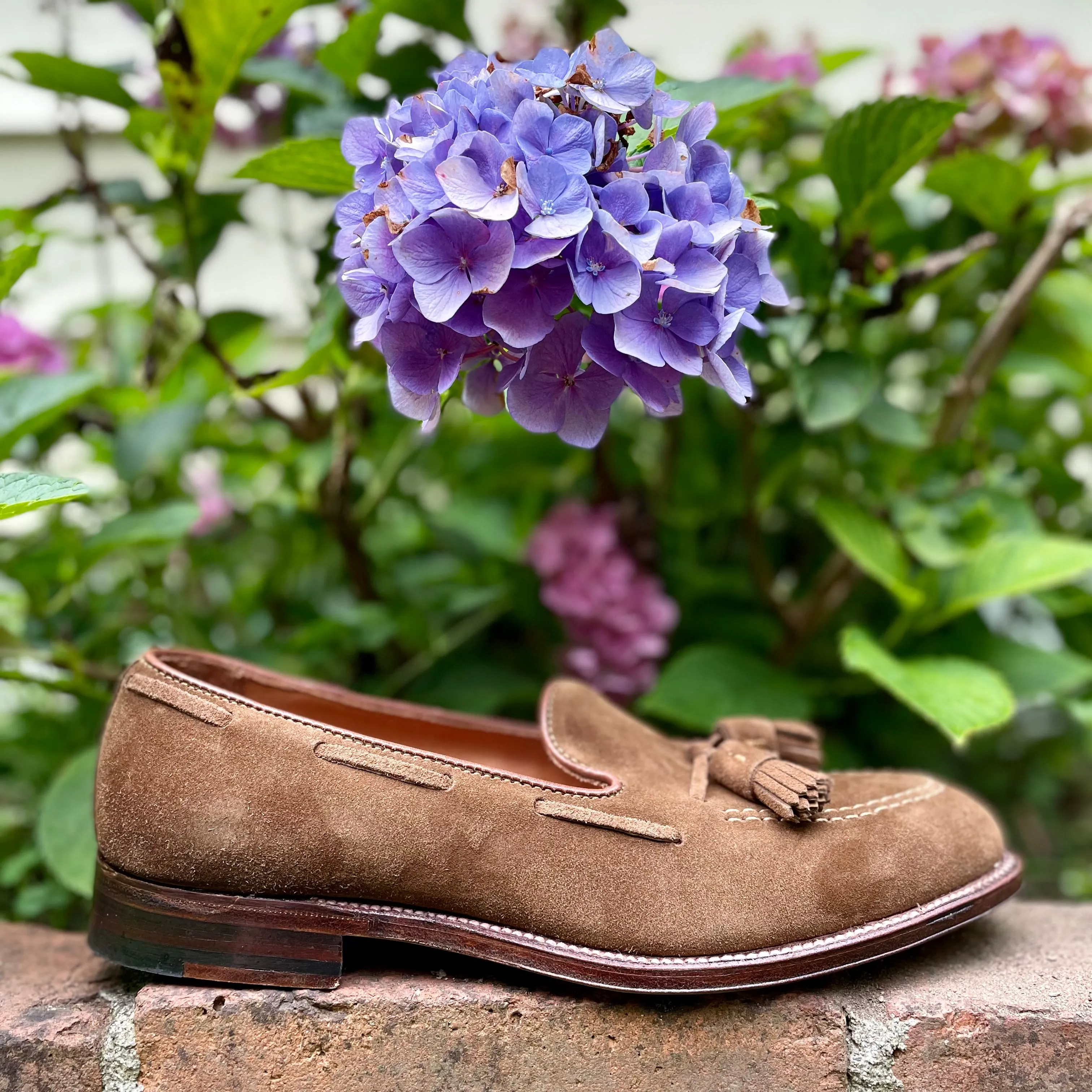 Style Icon 3403 - Tassel Loafer in Snuff Suede