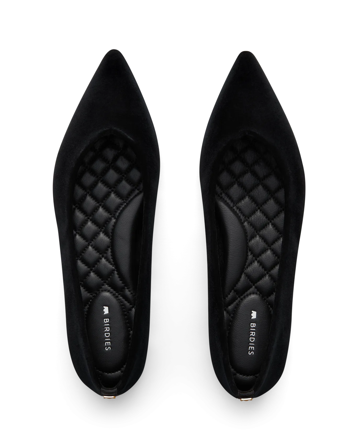 Support Foam The Goldfinch 15 - Black Velvet