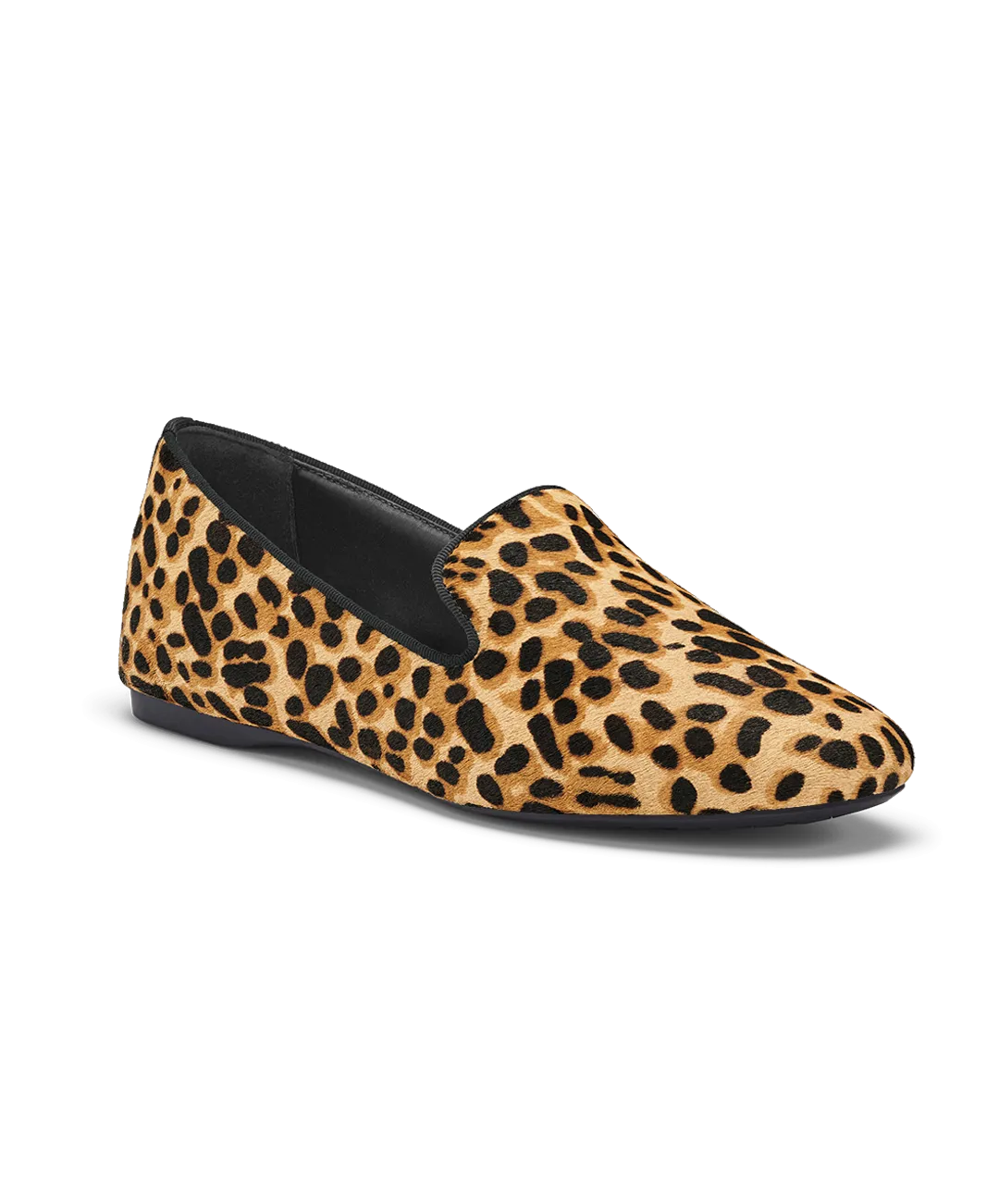 The Starling - Cheetah Airy Construction Firm Power